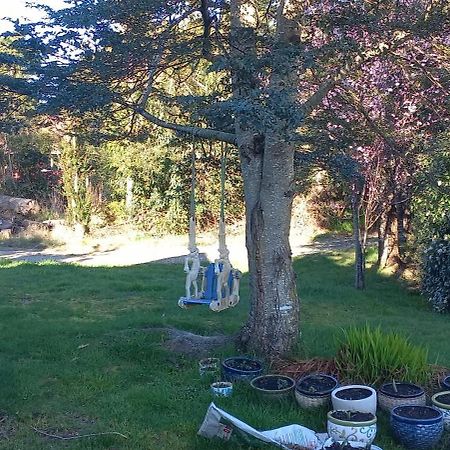 Cabanas Y Hostal Tepual Puerto Montt Eksteriør billede