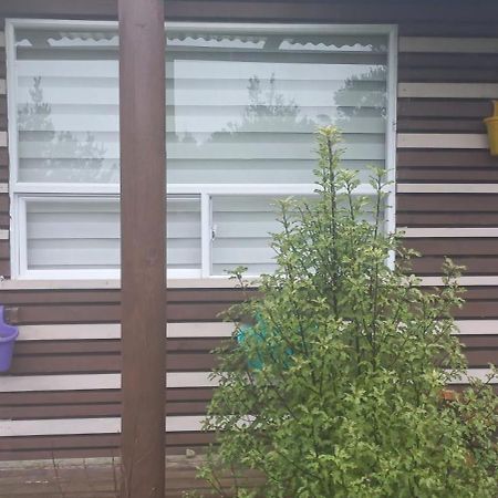 Cabanas Y Hostal Tepual Puerto Montt Eksteriør billede