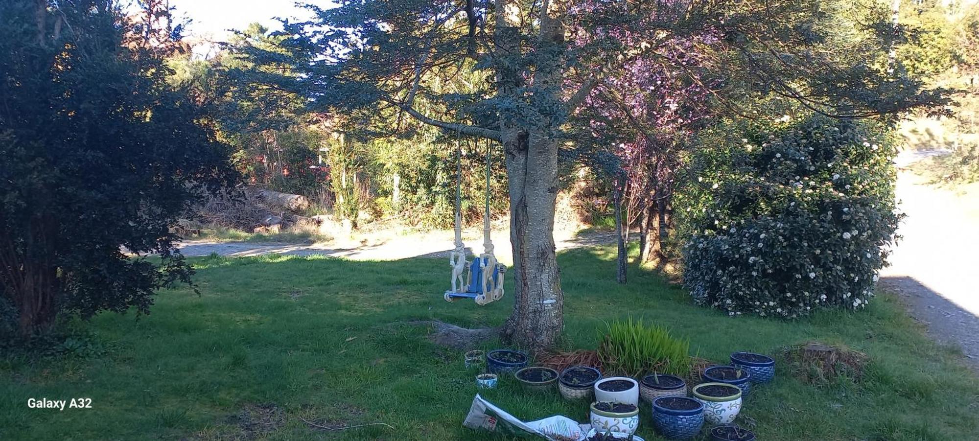 Cabanas Y Hostal Tepual Puerto Montt Eksteriør billede